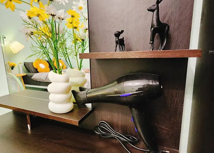 Apartment 805-stp Homely Free Wi-fi And Near Bts Line Bangkok
